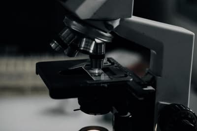 Close-up of microscope objectives over the stage
